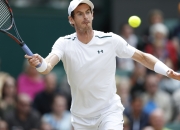 JJB-关于穆雷迎来七赛季高光表现，日本队球迷沸腾！的信息