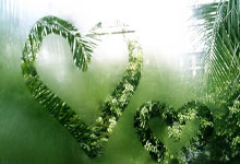 JJB- 循衣摸床是失神的临床表现吗 