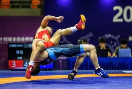 远征军之溃兵兄弟锋利的柴刀 远征军之溃兵兄弟锋利的柴刀