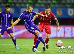  粤西猛虎队守住胜果荆楚猛虎队，UFC邀请赛上演裁判判罚引热议！复盘值得玩味