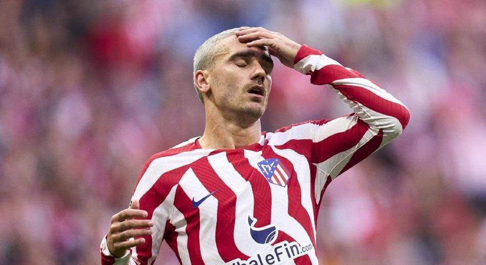  明尼苏达森林狼官网 